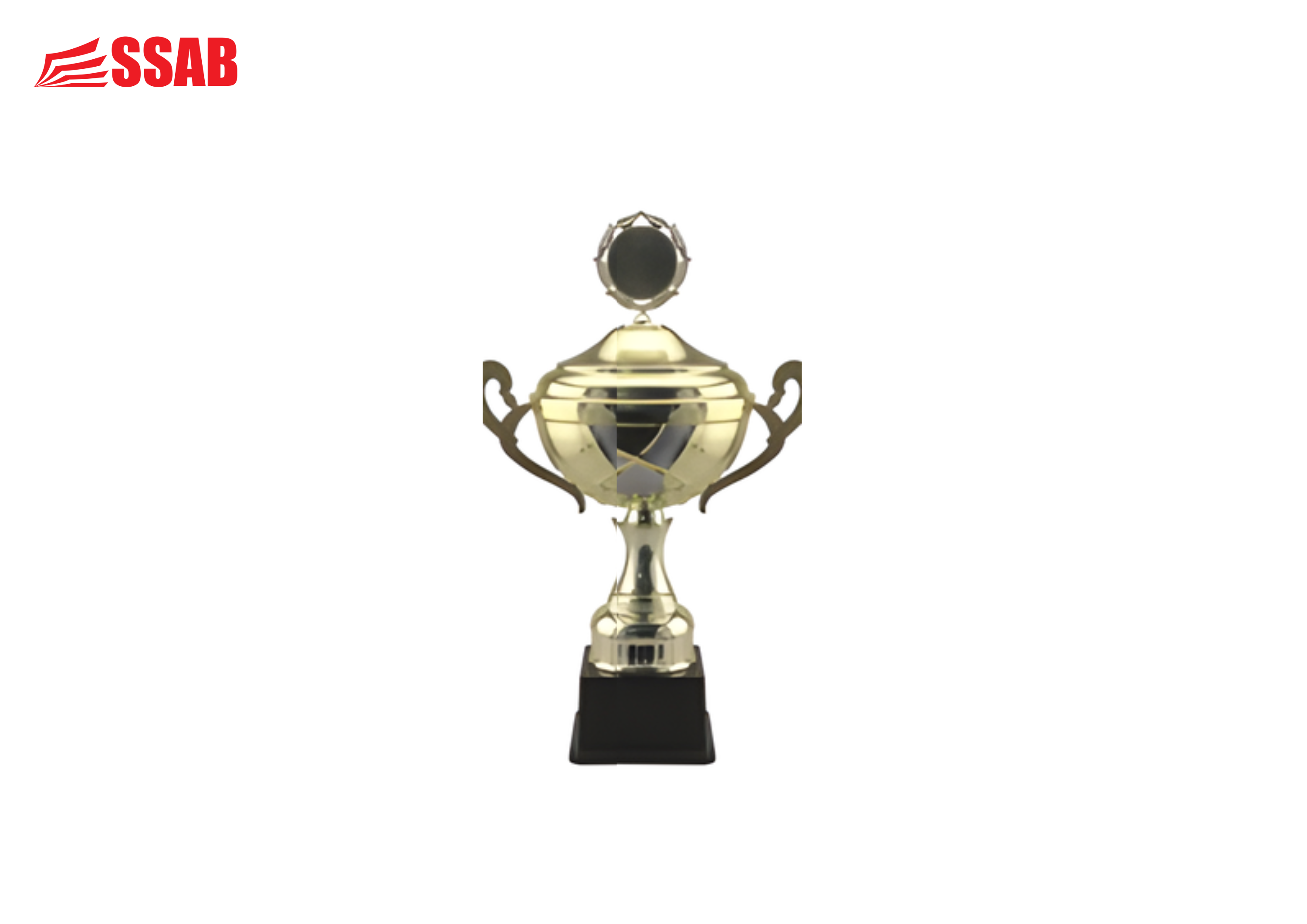 WARWICK TROPHY SMALL 315MM