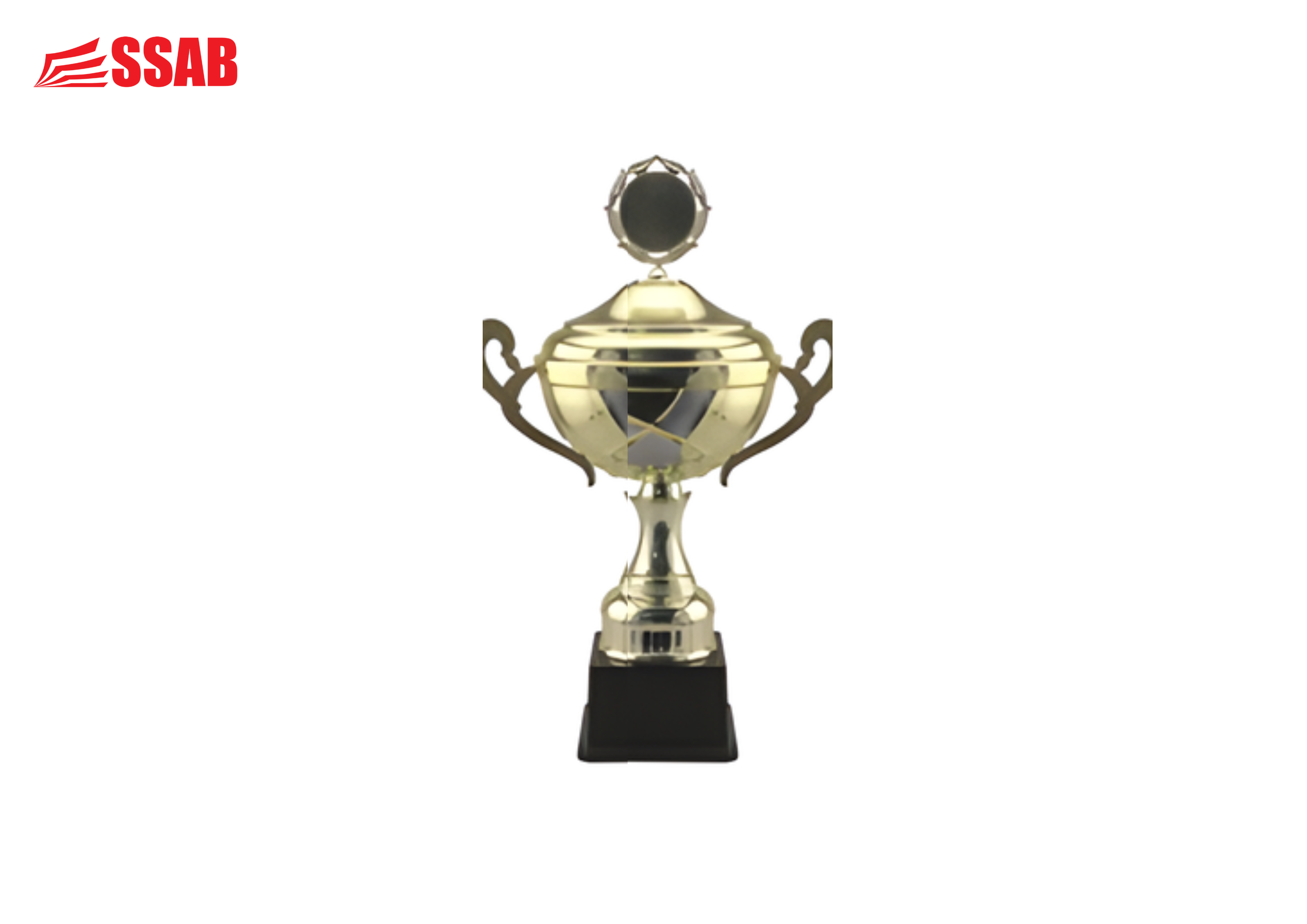 WARWICK TROPHY MEDIUM 358MM